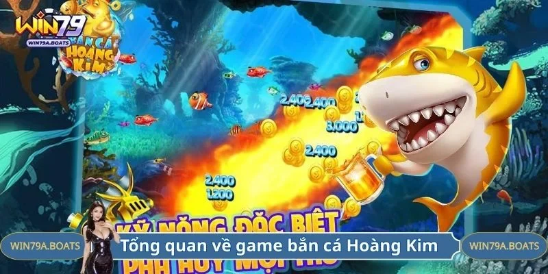 Tổng quan về trò chơi cung cấp tại WIN79