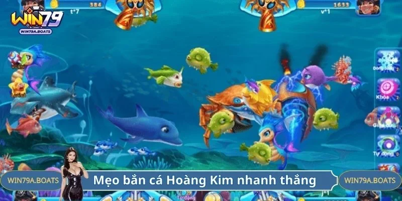 Mẹo tham gia săn cá nhận thưởng nhanh thắng