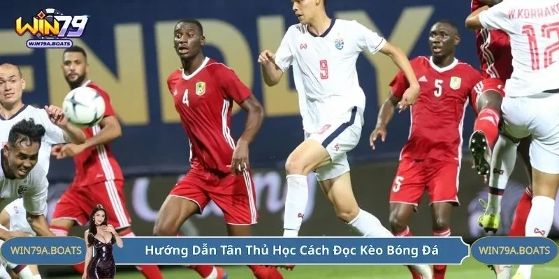 Hướng dẫn tân thủ học cách đọc kèo bóng đá